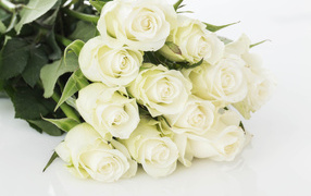 Букет шикарных белых  роз 