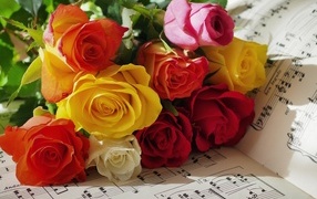 Букет разноцветных роз на нотной тетради