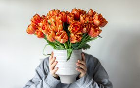 Букет оранжевых тюльпанов в вазе в руках