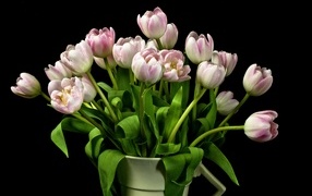 Букет розовых тюльпанов в вазе на черном фоне