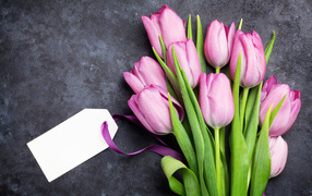 Букет розовых тюльпанов с открыткой на сером фоне