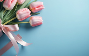 Букет розовых тюльпанов с лентой на голубом фоне