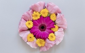 Круг из нежных цветов на сером фоне