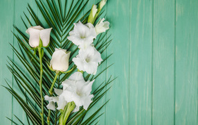 Нежные белые гладиолусы с розой на зеленом фоне