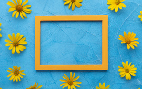 Рамка для фото с желтыми цветами на голубом фоне