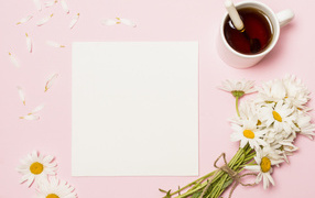Розовый фон с ромашками, чашкой чая и белым листом бумаги, шаблон