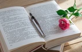 Розовая роза с кольцом на книге 