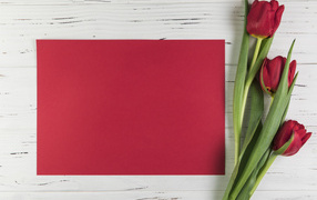 Красный лист бумаги с тюльпанами для шаблона поздравительной открытки