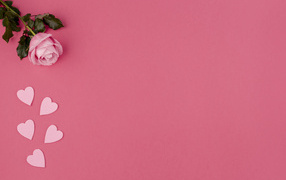 Роза с сердечками на розовом фоне, шаблон для открытки