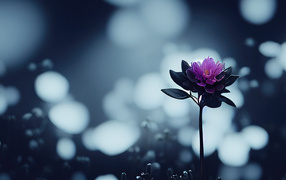 Маленький фиолетовый цветок крупным планом