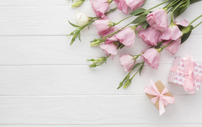 Нежна розовая эустома с подарками на белом фоне