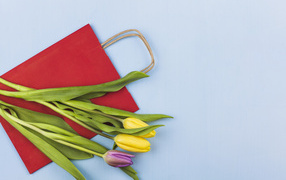 Три тюльпана с красным пакетом на голубом фоне