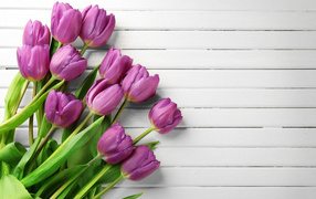 Тюльпаны на белом деревянном фоне