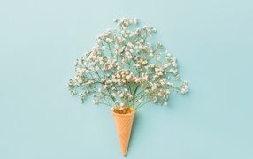 Белые цветы с вафельным рожком на голубом фоне