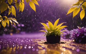 Зеленое растение стоит под дождем