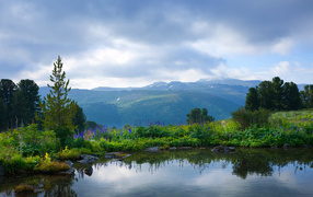Вид на тихое озеро с покрытыми зеленой травой берегами на фоне гор