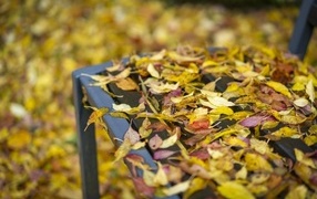 Опавшие сухие осенние листья на лавке в парке