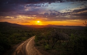 Красивый закат яркого летнего солнца над дорогой
