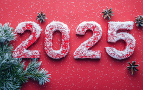Цифры 2025 в снегу на красном фоне на новый год