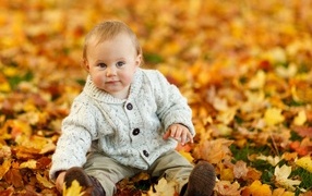 Маленький ребенок сидит на опавших осенних листьях