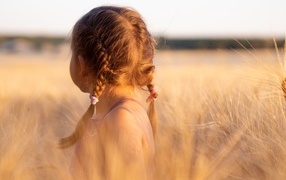 Косы на голове у маленькой девочки