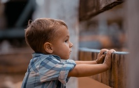 Любопытный мальчик в рубашке