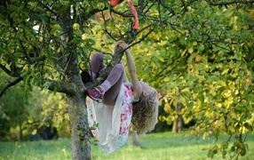 Девочка висит на дереве с яблоками
