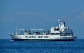 Large cargo ship Maestro reefers at sea