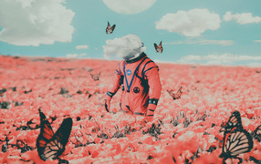 Астронавт на поле с красными маками и бабочками