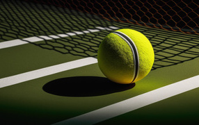 Шар для игры в теннис на поле у сетки