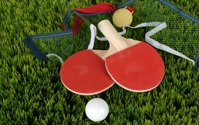 Две ракетки, сетка и мяч для настольного тенниса на зеленой траве