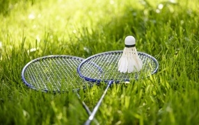 Две ракетки и воланчик для игры в бадминтон