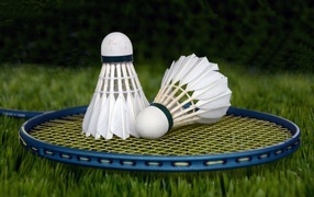 Two shuttlecocks and a racket for playing badminton on the grass