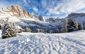 Холодный белый снег покрывает горы и лес
