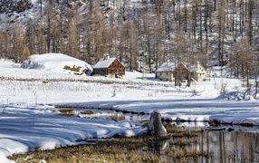 Дома в лесу у маленькой реки зимой