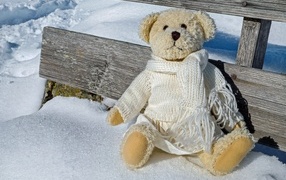 Медвежонок Тедди сидит на покрытой снегом лавке 