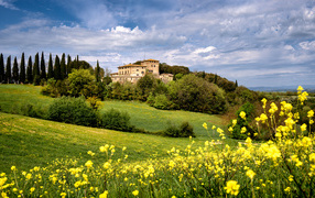 Зеленый холм с желтыми цветами, Тоскана. Италия