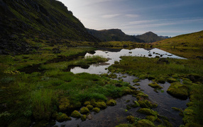 Мелкая горная река покрыта зеленью, Норвегия