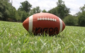 Мяч для американского футбола на зеленой траве 