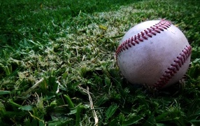Мяч для бейсбола на траве 