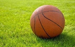 Коричневый кожаный баскетбольный мяч на зеленой траве