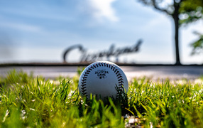 Кожаный бейсбольный мяч на зеленой траве