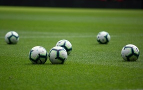 Много футбольных мячей на зеленой траве