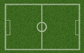 Поле расчерчено белыми линиями на зеленой траве