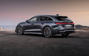 Вид сбоку на серый автомобиль Audi S5 Avant TFSI quattro 2024 года