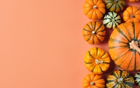 Тыква разного размера на оранжевом фоне