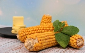 Желтая кукуруза с маслом и веточкой мяты