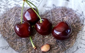 Красивые спелые красные черешни на столе