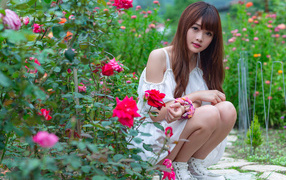 Милая азиатка в белом платье сидит у роз