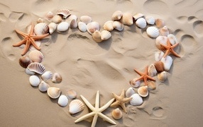 Сердце из ракушек и морских звезд на песке
